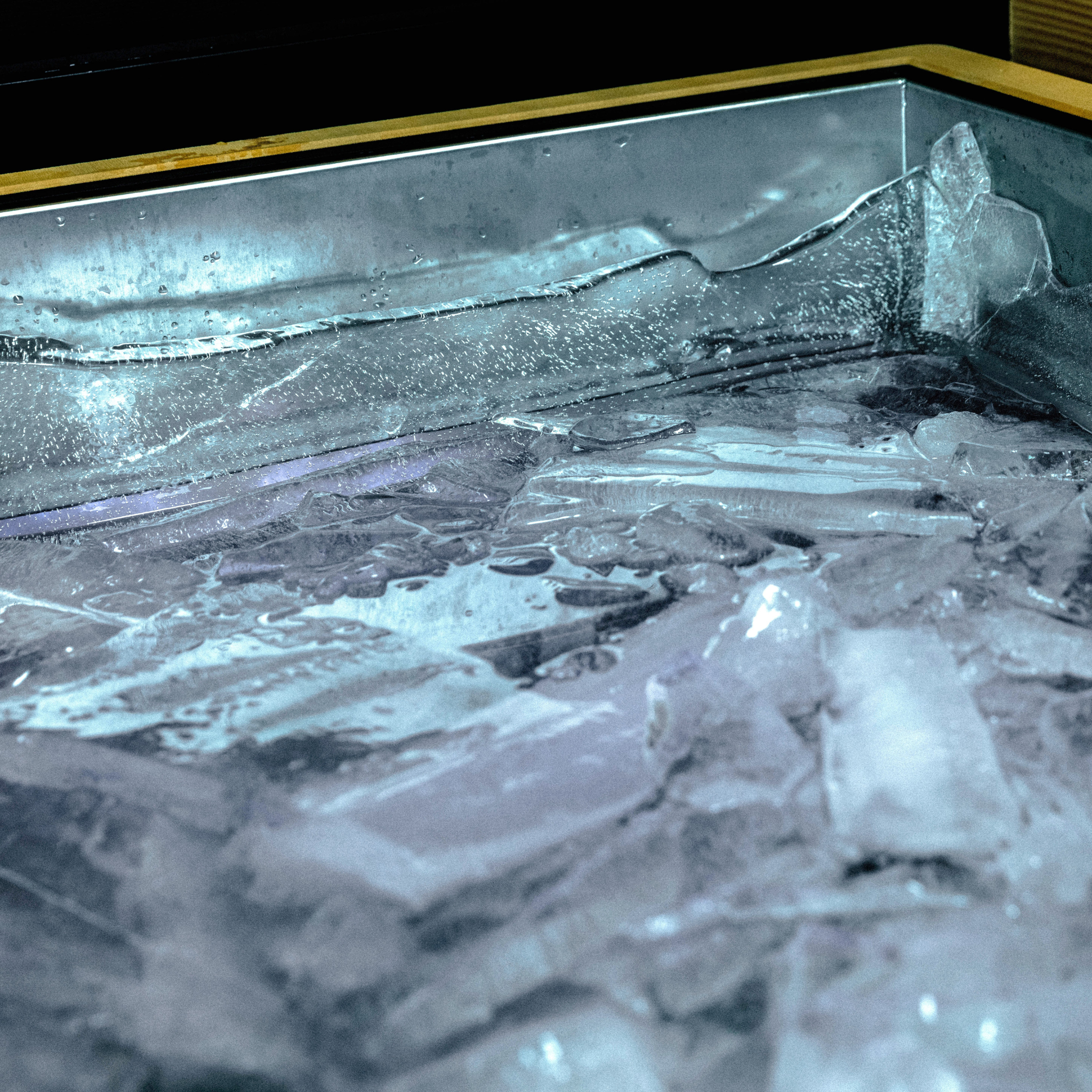 Revive Luxury Plunge w/ Built-In 1HP Chiller