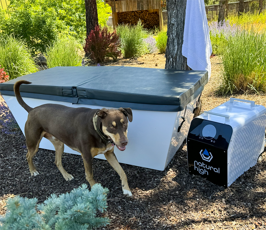 THE PREMIER EXPERIENCE