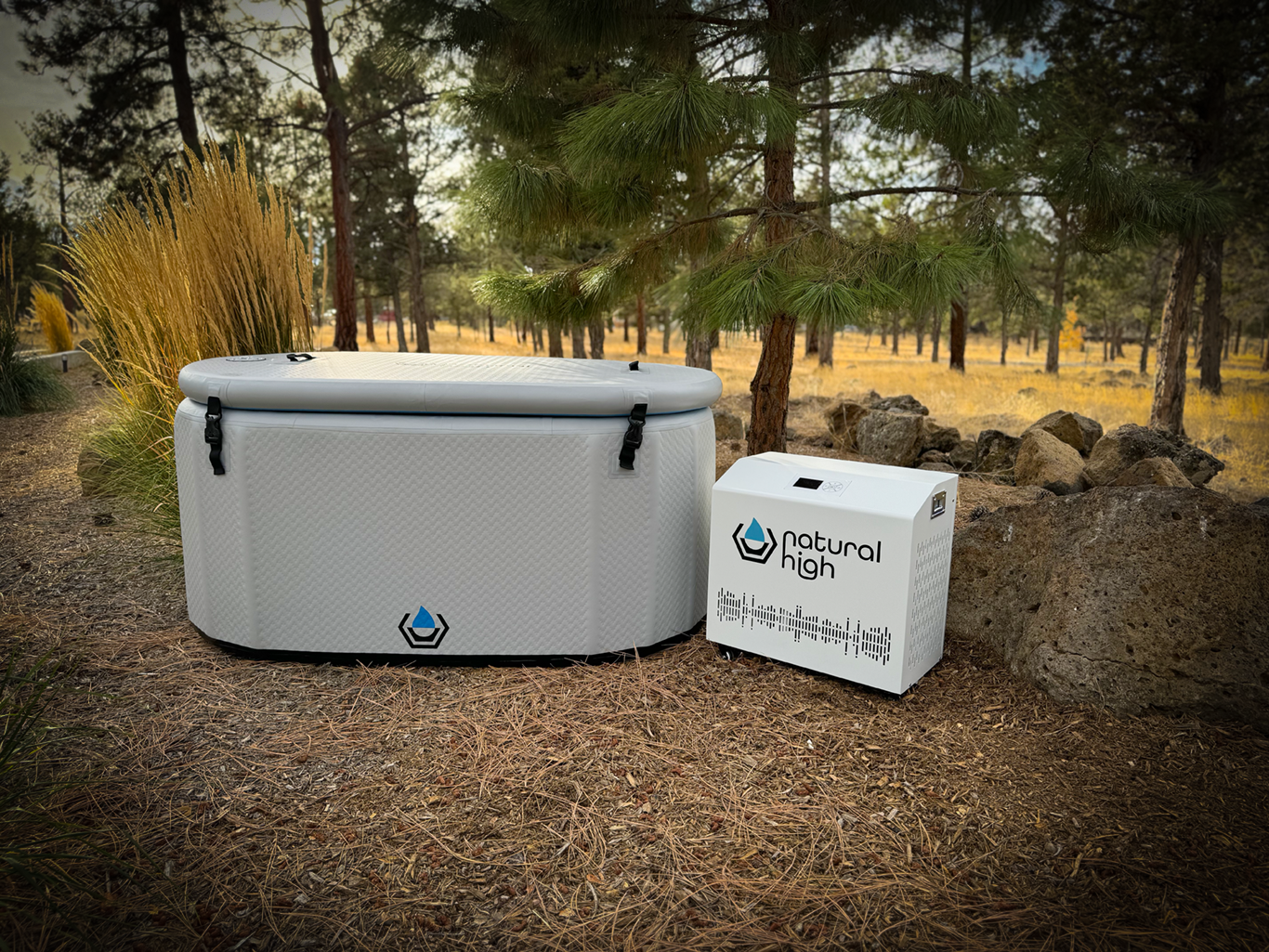 THE EXTREME EXPERIENCE