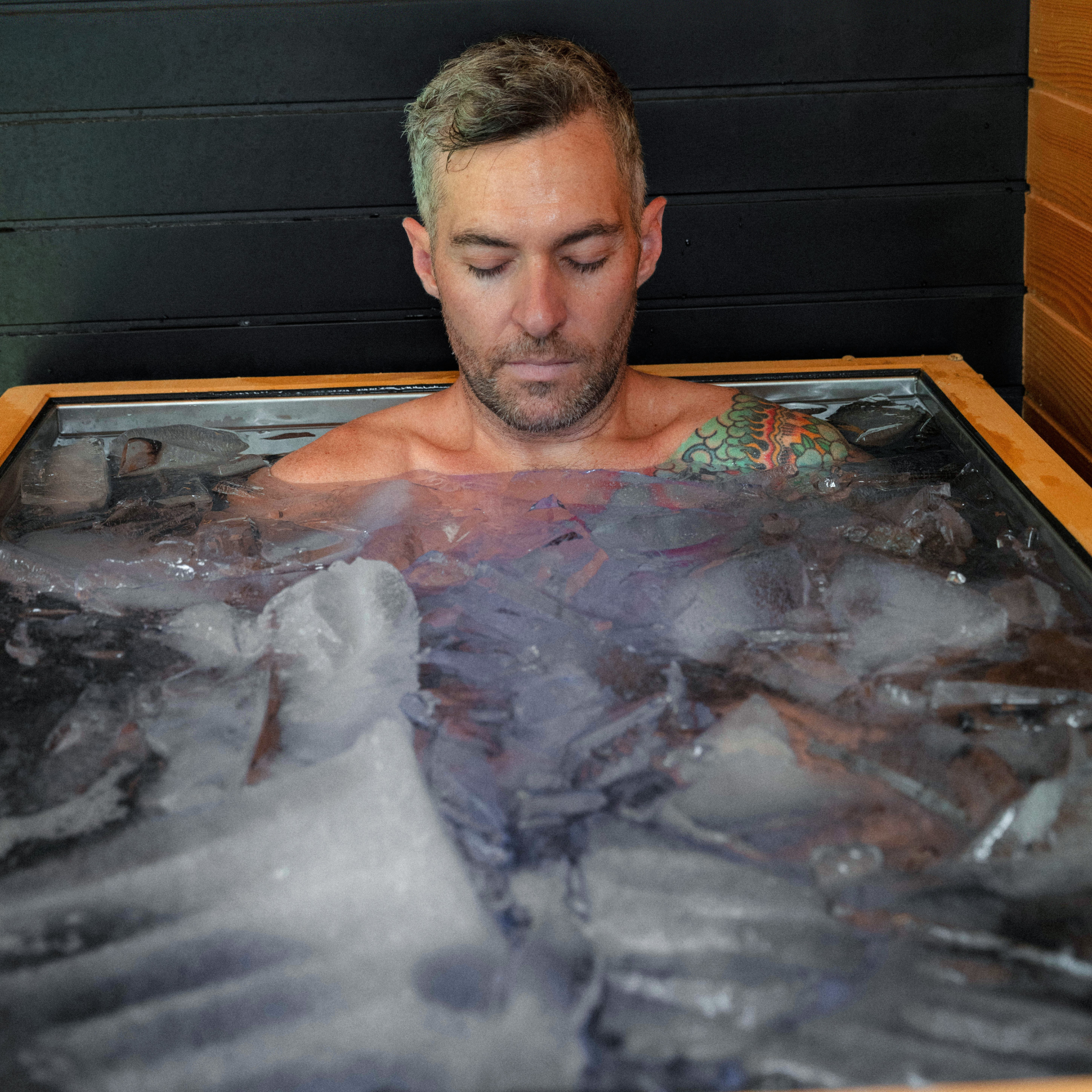 Revive Luxury Plunge w/ Built-In 1HP Chiller